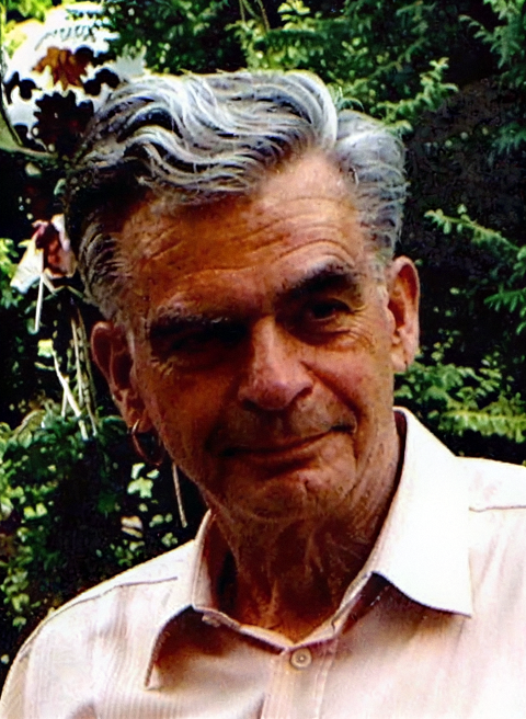freepik photo a white man 70 years old with gray hair and 23352